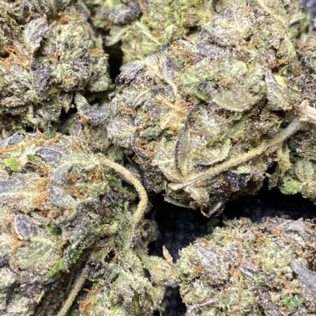 Grand Daddy Purple 🔥